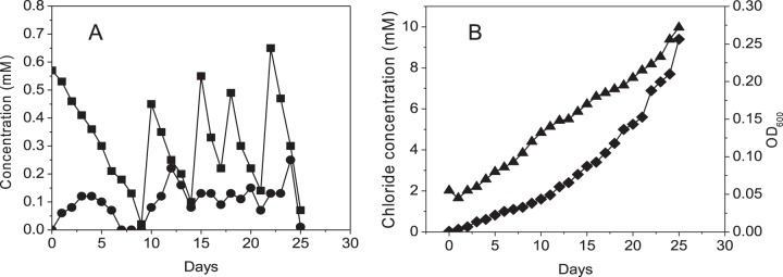 FIG 2