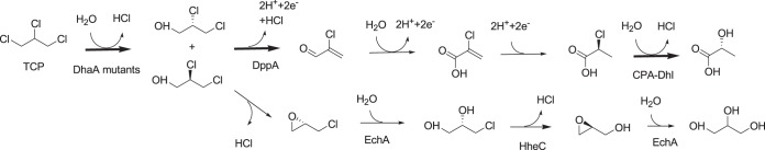 FIG 1