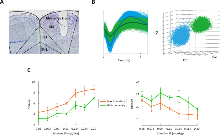 Figure 5—figure supplement 1.