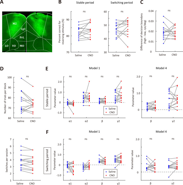 Figure 4—figure supplement 2.