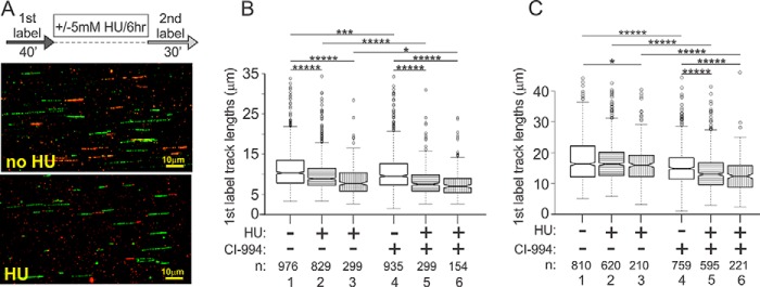 FIGURE 10.