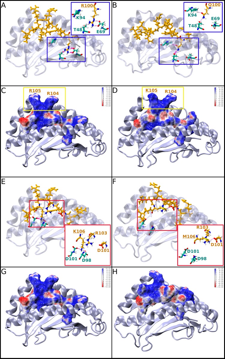 FIG 10