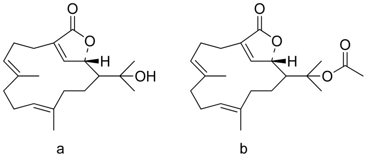 Figure 8