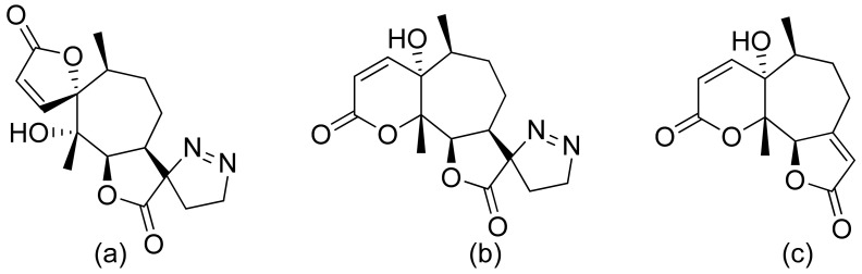 Figure 13