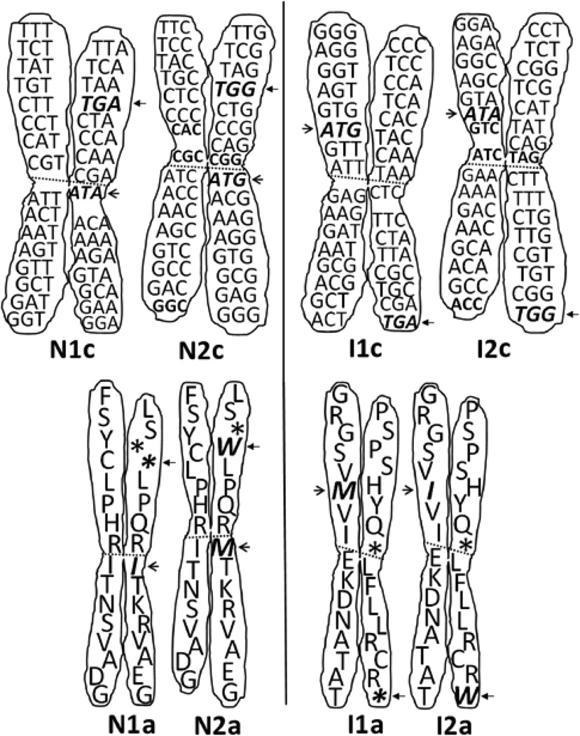 Figure 24