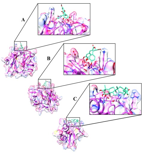 Figure 6. 