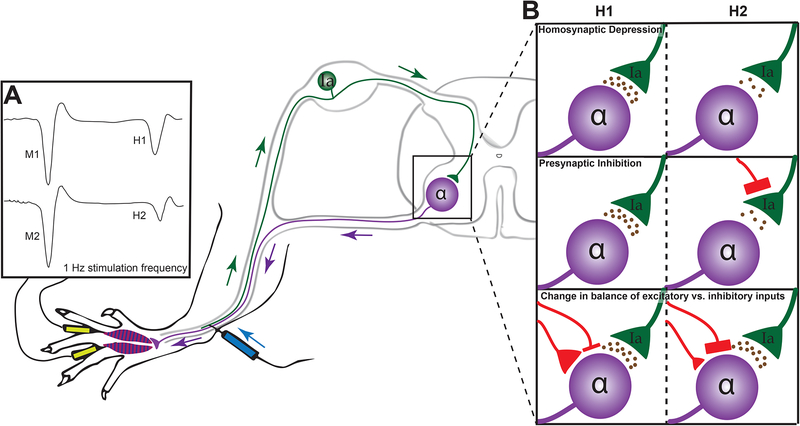 FIGURE 2: