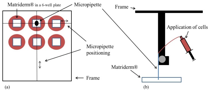 Figure 8