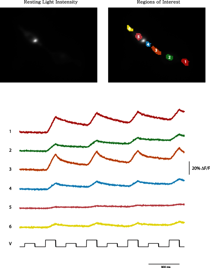 Figure 7