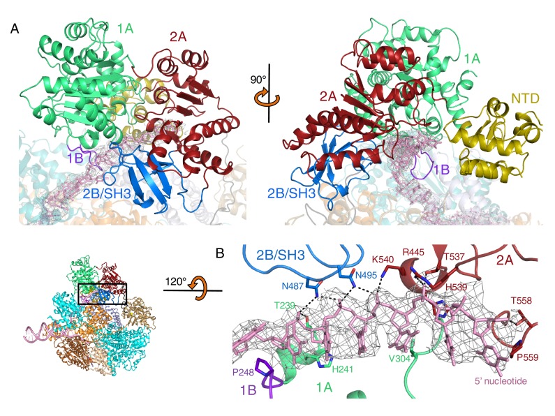 Figure 2.