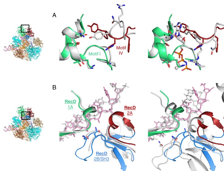 Figure 2—figure supplement 2.