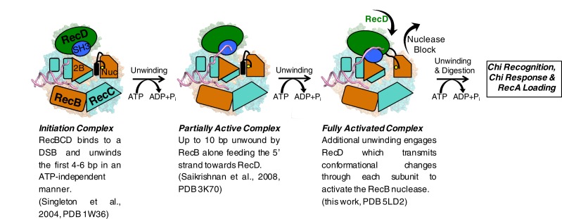 Figure 5.