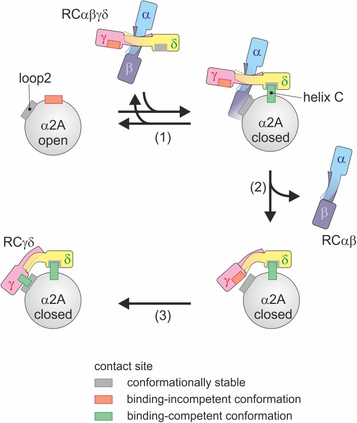 Fig 9