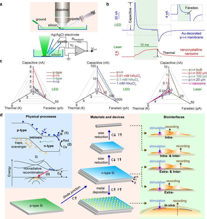 Figure 2 |