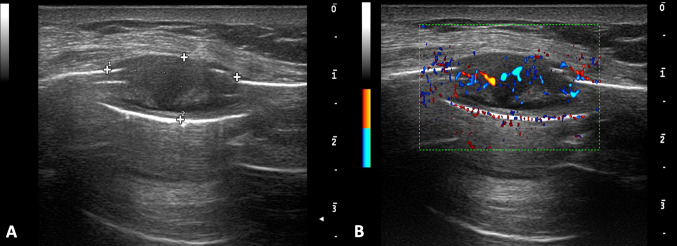 Fig. 8