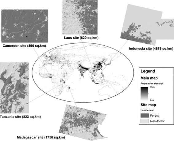 Fig. 1