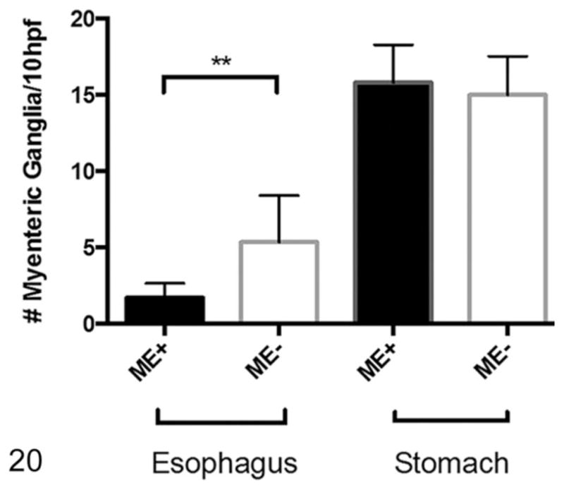 Figure 20