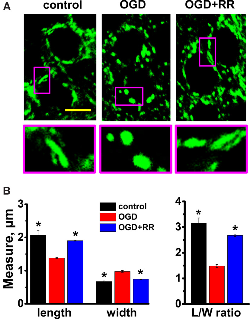 Figure 6.