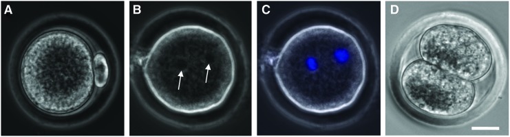 FIG. 6.