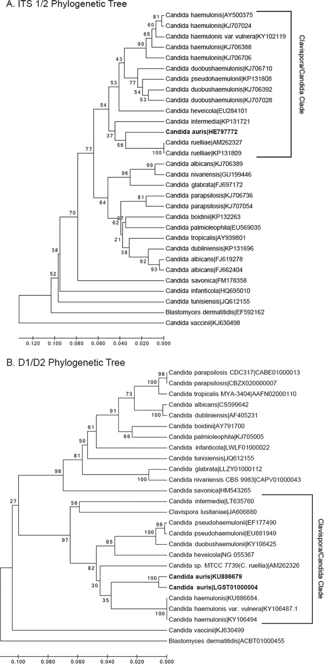 FIG 1