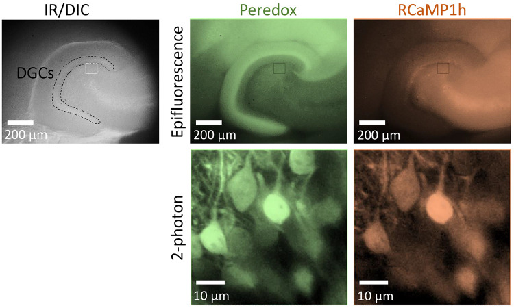 Figure 3.