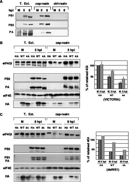 FIG. 7.