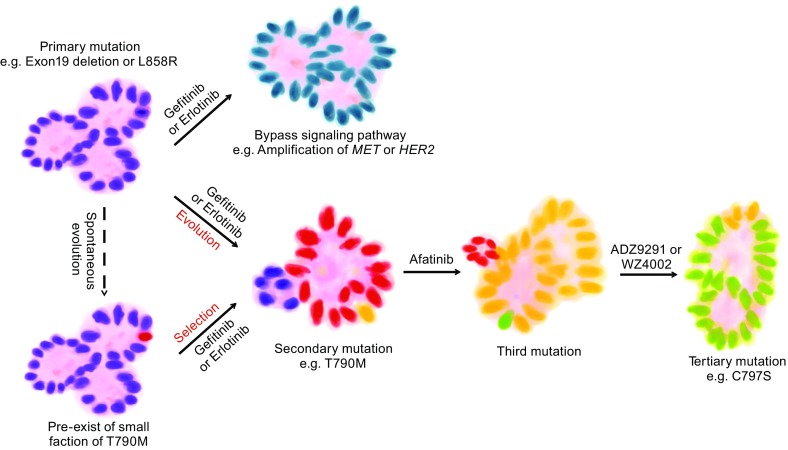 Figure 2