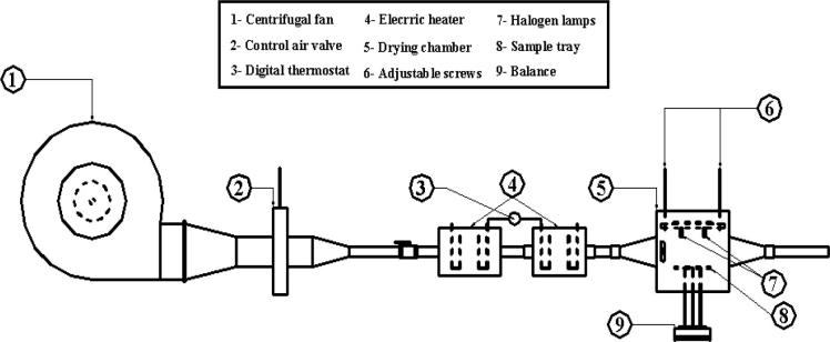 Fig. 1