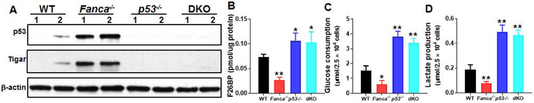 Fig 2.