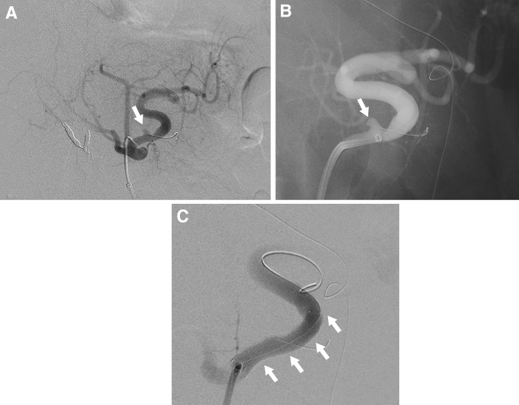 Fig. 5