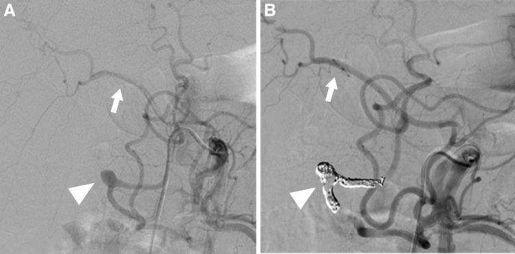 Fig. 8