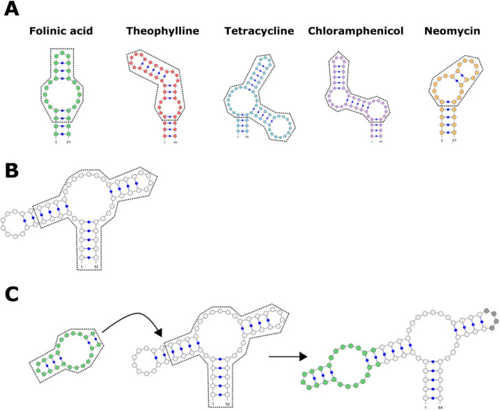 Figure 5—figure supplement 2.