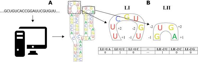 Figure 3—figure supplement 2.