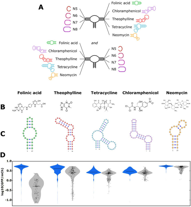 Figure 5.