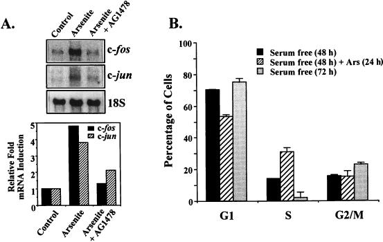 FIG. 8