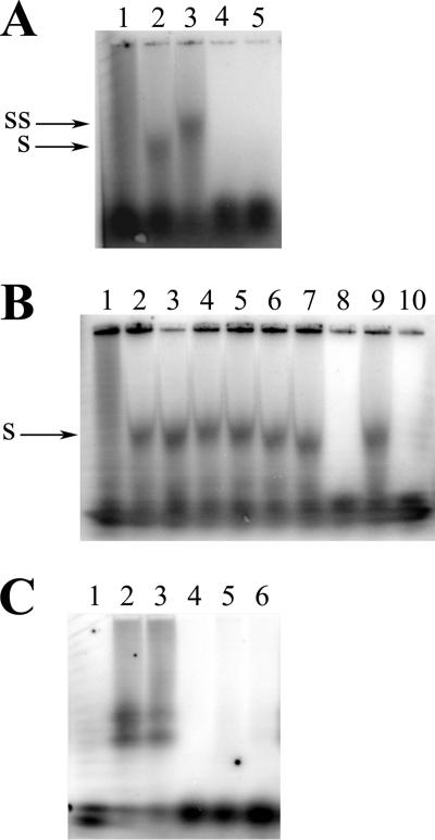 FIG. 2.