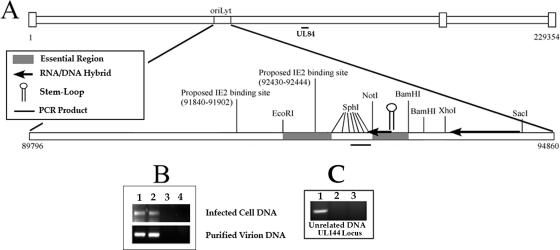 FIG. 6.