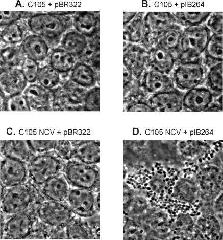 FIG. 6.