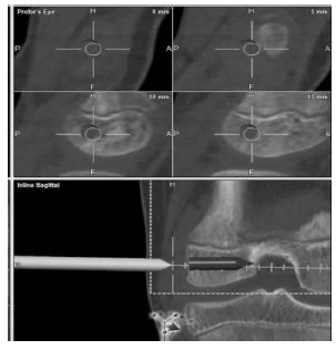 Fig. (7)