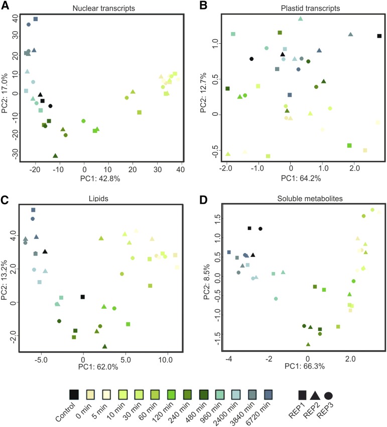 Figure 13.