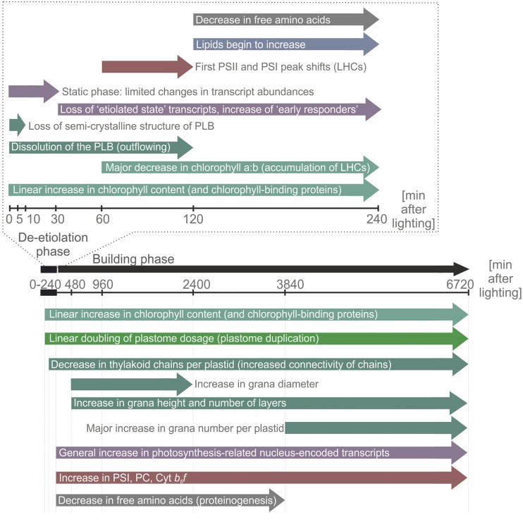 Figure 15.