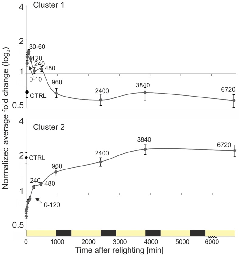 Figure 12.