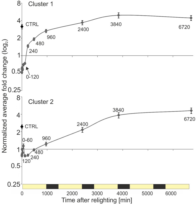 Figure 10.