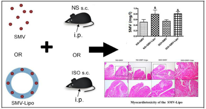 Image, graphical abstract