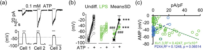 FIGURE 4 1