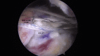 Fig 8