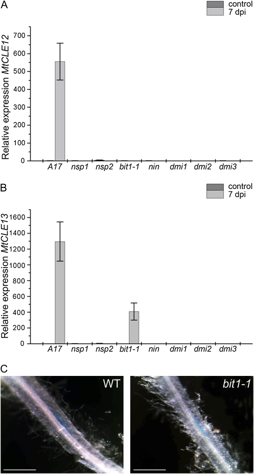 Figure 5.