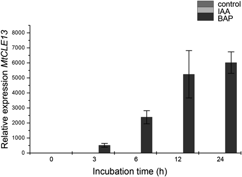 Figure 6.