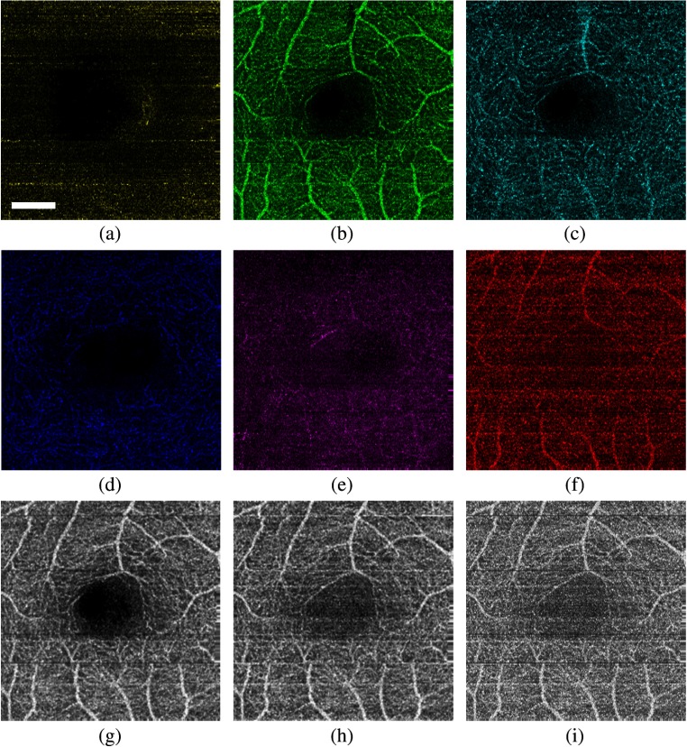 Fig. 4