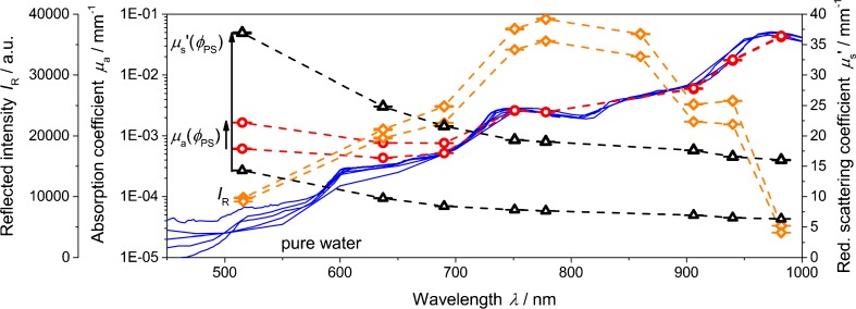 Fig. 11